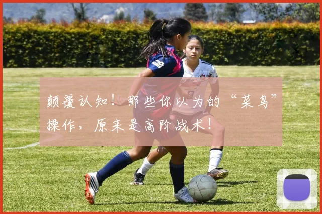 颠覆认知！那些你以为的“菜鸟”操作，原来是高阶战术！