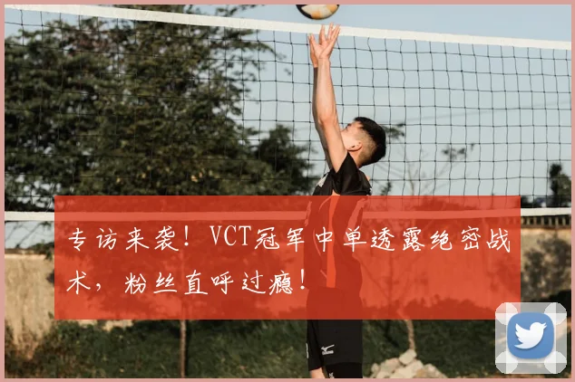 专访来袭!VCT冠军中单透露绝密战术,粉丝直呼过瘾!