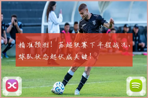精准预测!苏超联赛下半程战况,球队状态起伏成关键!